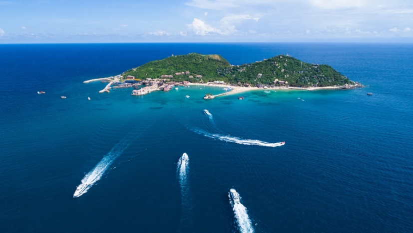 20240314163539 20240314163539