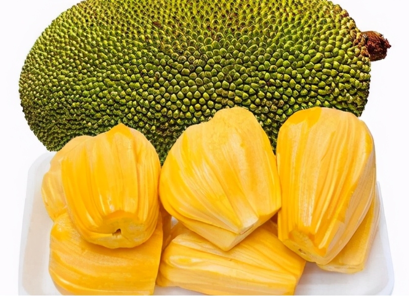 20240322105557 20240322105557