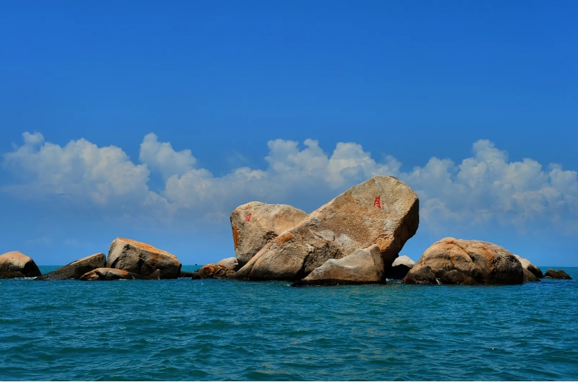 20240423161951 20240423161951