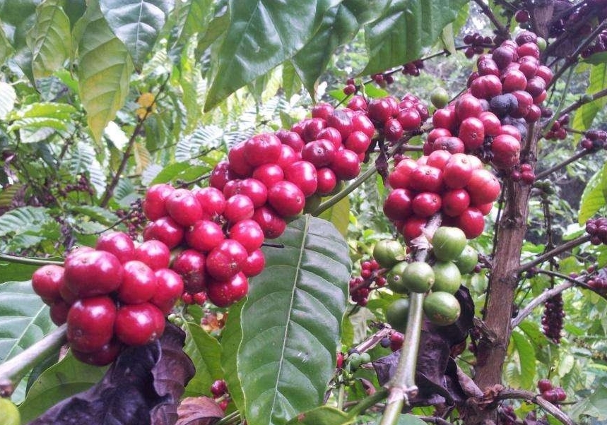 20240510160902 20240510160902