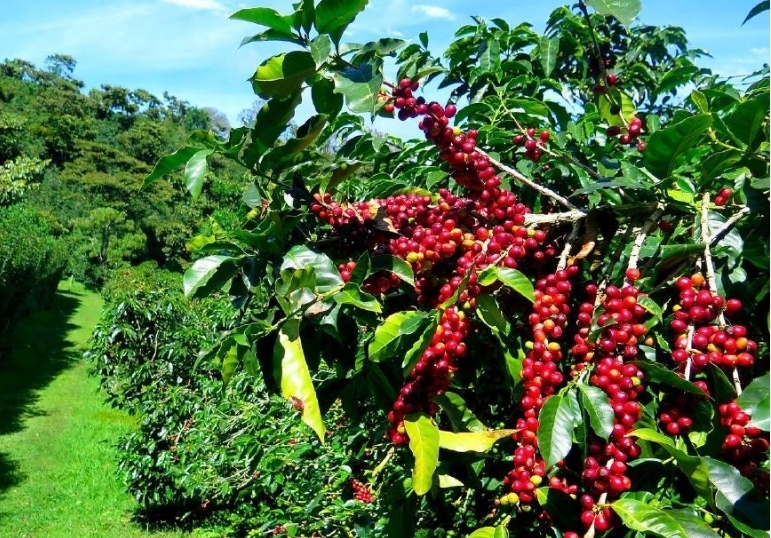 20240515144437 20240515144437