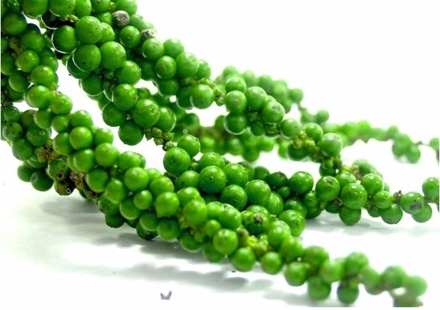 20240605162839 20240605162839