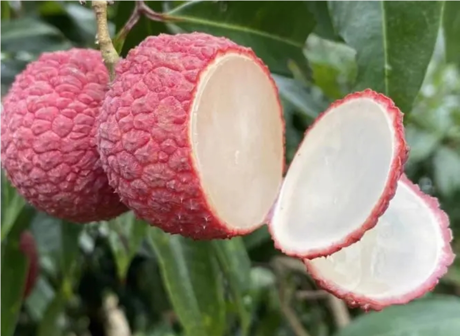 20240606144545 20240606144545