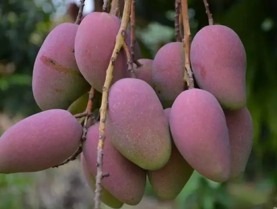 20240903160420 20240903160420