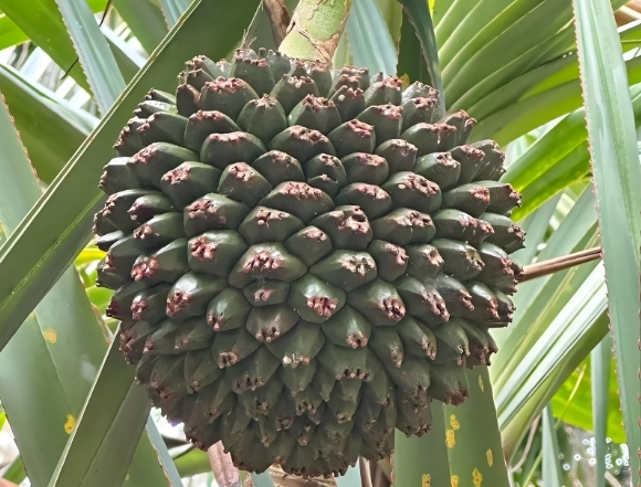 20250102144755 20250102144755