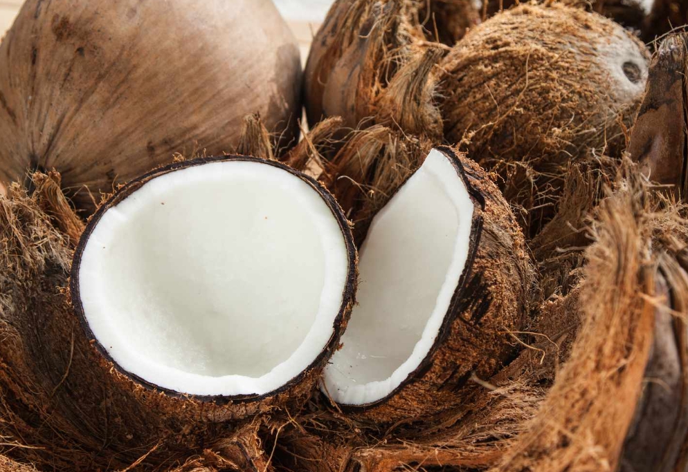 20250113144509 20250113144509