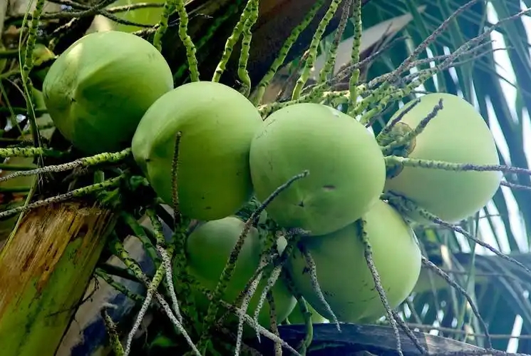 20250401150233 20250401150233