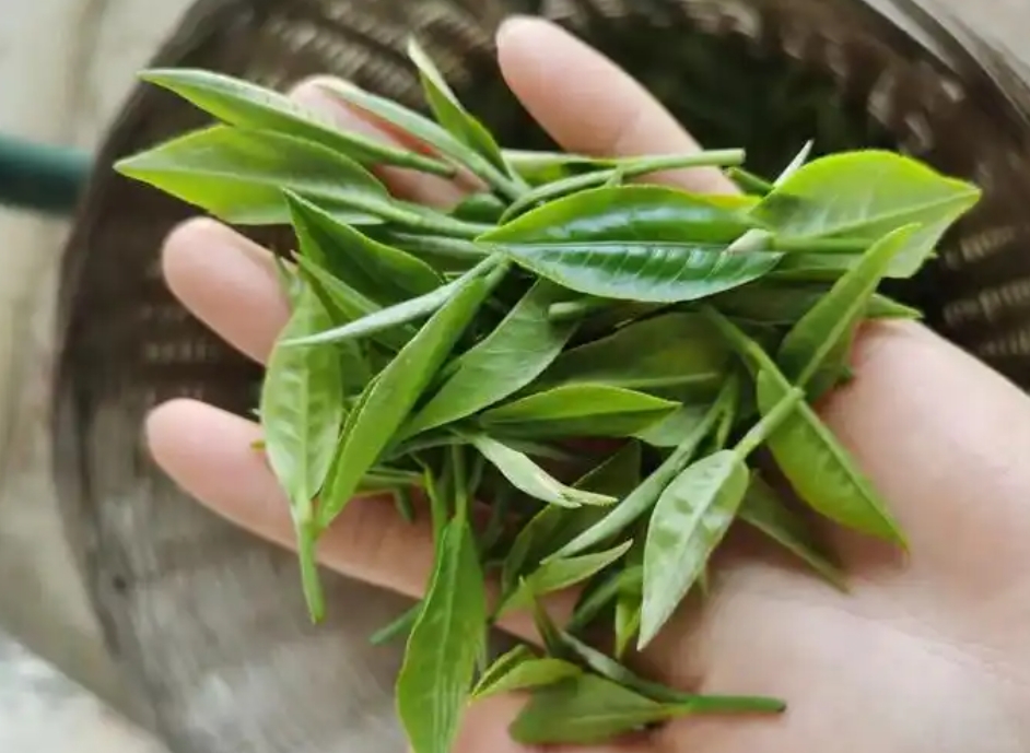 20250617164540 20250617164540