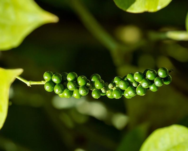 1698738854125112.png ΢ÐŽØÍ¼_20231030163732.png