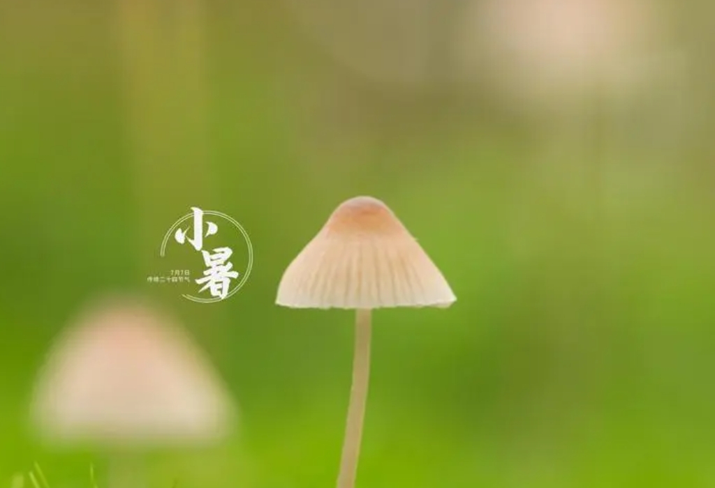 1720425391178921.png ΢ÐŽØÍ¼_20240704160619.png