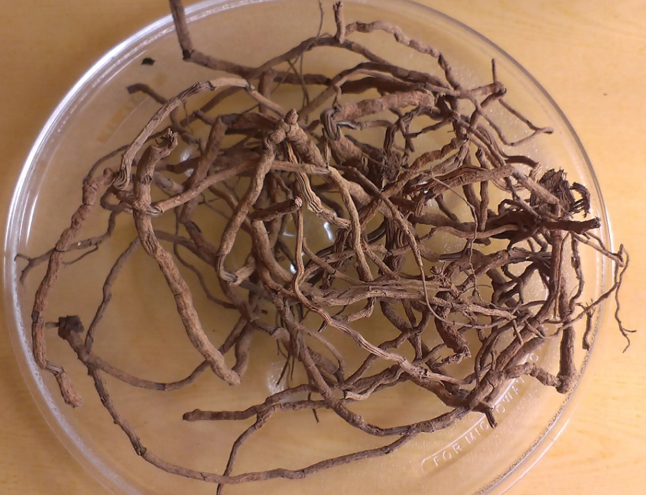 1721034423529729.png ΢ÐŽØÍ¼_20240712170226.png