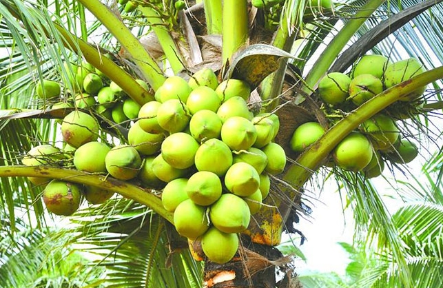 1730877260626268.png ΢ÐŽØÍ¼_20241105115152.png