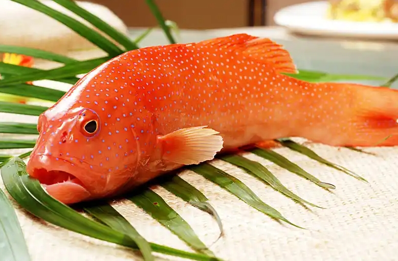 1741939889451534.png ΢ÐŽØÍ¼_20250314150457.png