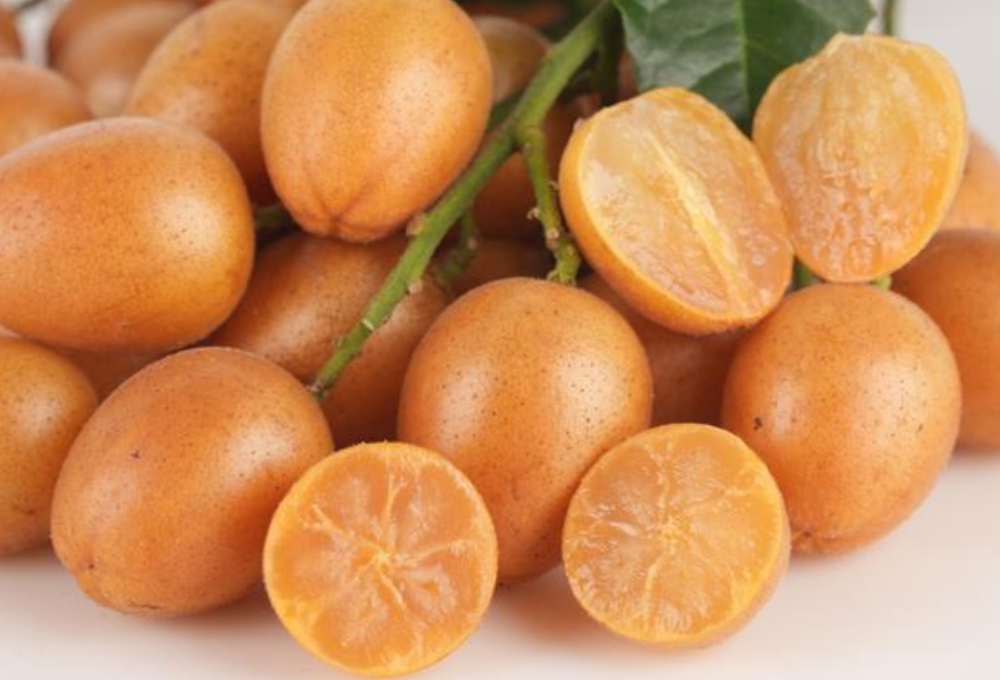 1743151237538833.png ΢ÐŽØÍ¼_20250328155656.png