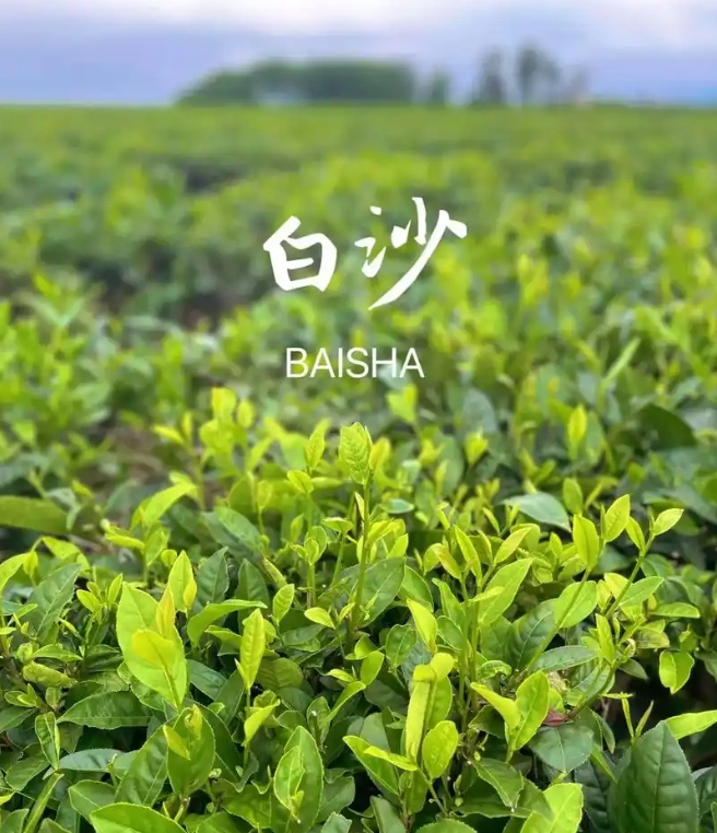 1750149944569961.png 微信截图_20250617155551.png