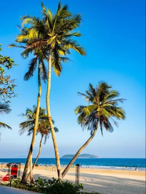 1751619156547906.png ΢ÐŽØÍ¼_20250704151022.png