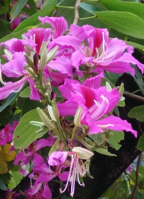 1752048663313466.png ΢ÐŽØÍ¼_20250709151348.png