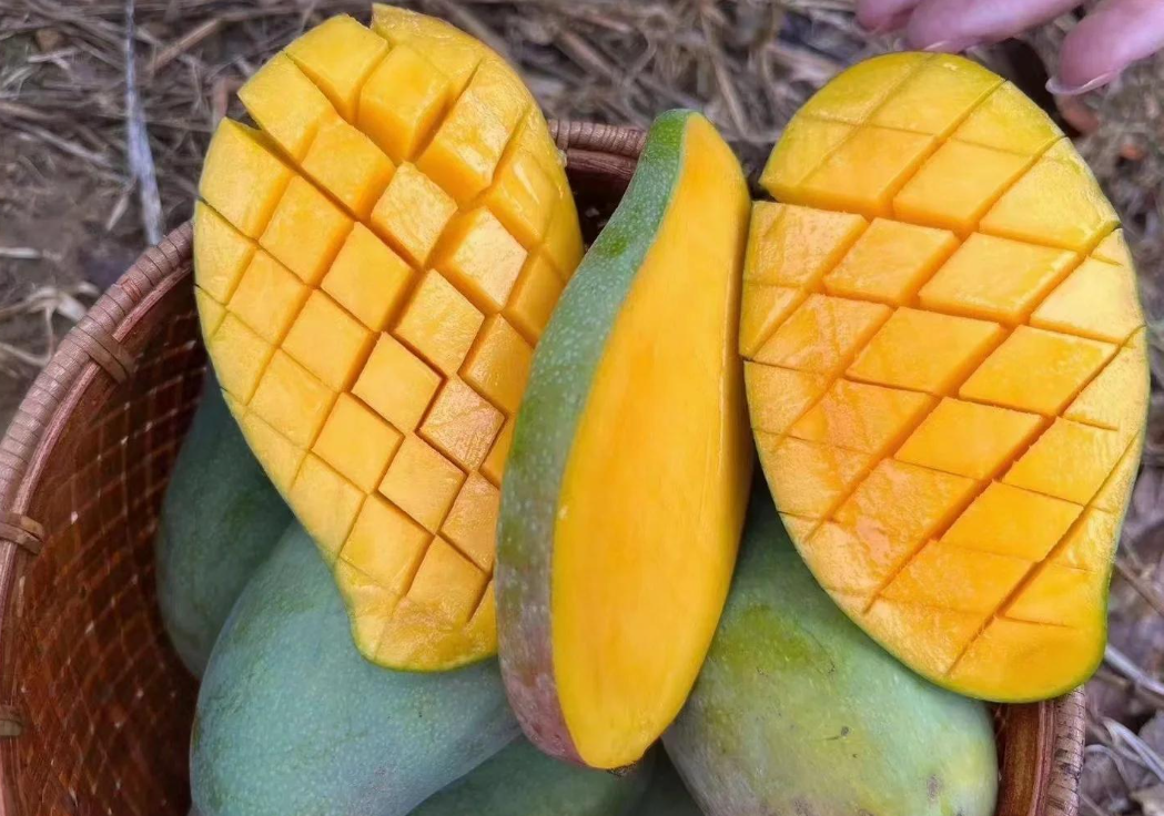 1760604766430546.png wechat_2025-10-14_152638_263.png