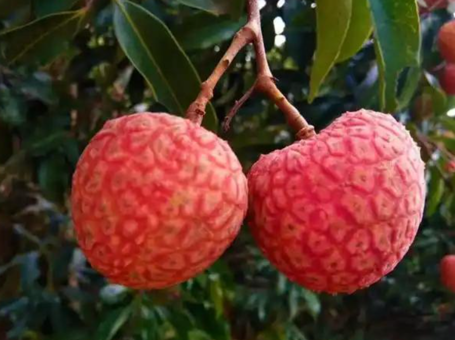 1760950217931473.png wechat_2025-10-17_162359_300.png