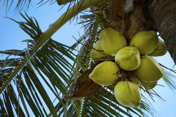 3308ά��������·�������(�й�)���޹�˾