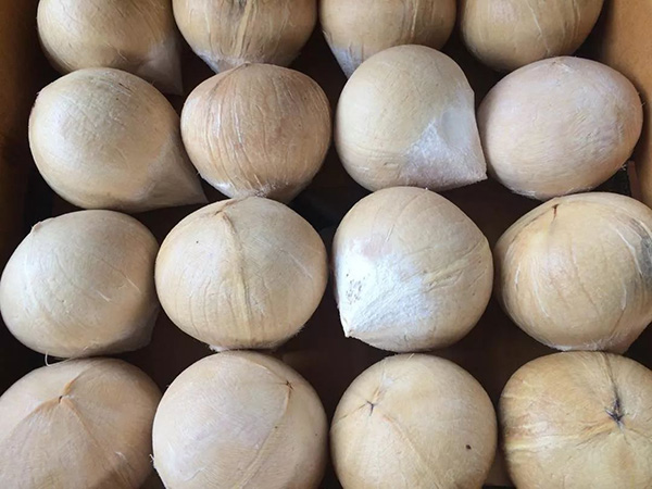 3308ά��������·�������(�й�)���޹�˾