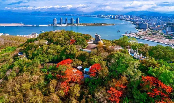 3308ά��������·�������(�й�)���޹�˾