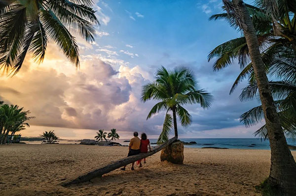 3308ά��������·�������(�й�)���޹�˾