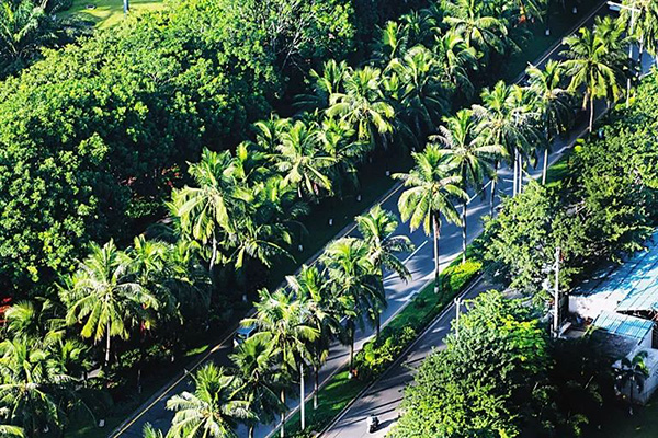 3308ά��������·�������(�й�)���޹�˾