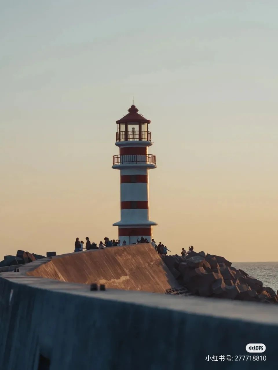 3308ά��������·�������(�й�)���޹�˾