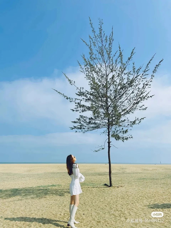 3308ά��������·�������(�й�)���޹�˾