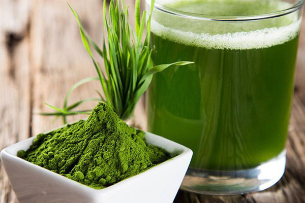 dizhiyinpin-qingzhi ÇàÖ´îÅä´¿Ò¬×Ó·Û